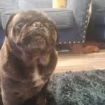 Travis Mclaughlin - @tmclaughlin489 - Instagram