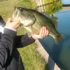 travismclaughlin93 - @travismclaughlin93 - TikTok