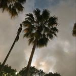 Travis McPherson - @travis_mcpherson8 - Instagram