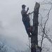 Travis Mead - Facebook