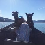 Travis Michel - @michel.travis - Instagram