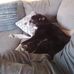 Travis Milligan - Facebook
