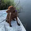 Travis Moody - @travis.moody3 - TikTok