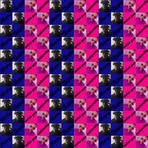 Travis Moore - Facebook