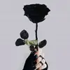 Travis Morrell - @travismorrell195 - TikTok