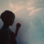 Travis Moss - @tja.moss - Instagram