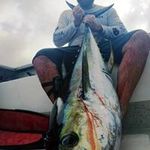 Travis Motta - @mottatravis - Instagram