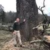 Travis Mullins - @travis.mullins - TikTok