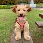 Travis Murphy - @_traveski_ - Instagram