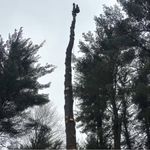 Travis Murphy - @travismurphy1492 - Instagram