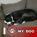 Travis Naylor - Facebook