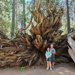 Travis Van Ness - @travisvn1 - Instagram