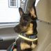Travis Newcombe - Facebook