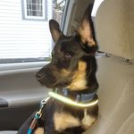 Travis Newcombe - @newcombe_travis - Instagram