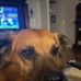 Travis Norris - Facebook