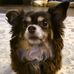 Travis Ostlund - Facebook