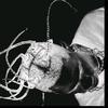 DMC - @travis_ott - TikTok