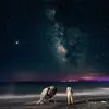 Lakshman_Naidu - @ttravis.overstreet - TikTok