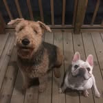 Gavin Travis-Pace - @travispacegavin - Instagram