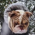 Travis Pacheco - @travis.pacheco.733 - Instagram