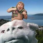 Taco - @travispapp - Instagram