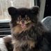 Travis Papp - Facebook