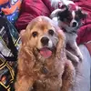 Travis Peal - @travis.peal59 - TikTok
