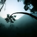 Travis Perdue - @travisperdue7936 - Instagram