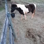 Travis Perdue - @travis.perdue.148 - Instagram