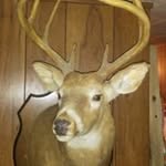 travisperdue - @travisperdue8370 - Instagram