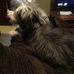 Travis Powers - Facebook