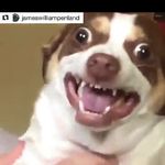 Travis L. Prater - @red_eyed_me - Instagram