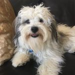 Travis Preston - @travispreston4162 - Instagram