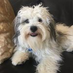 Travis preston-mckeown - @travisprestonmckeown - Instagram