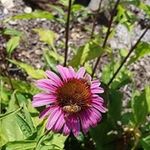 Travis Pritchett - @travis.pritchett.12 - Instagram