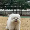 travisproctor89217 - @travisproctor89217 - TikTok