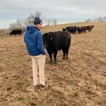 Travis Purvis Farms LLC. - @tp_ranchky - Instagram
