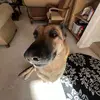 travis - @travis.quinn - TikTok