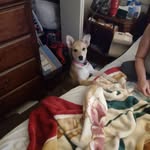 Travis Rasmussen - @truckertrav2007 - Instagram
