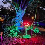 Travis Reece - @south_new_street_nightmare - Instagram