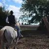 T - @travisgrhoades - TikTok
