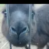 Richie_Travis - @richie_travis - TikTok