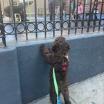 Travis Rodgers - @makkavelitd4 - Instagram