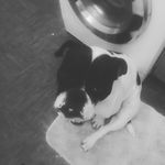Travis Rootham - @roothamtravis - Instagram