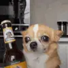 Travis Dela Rosa - @travis.dela.rosa - TikTok