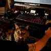 travisroyer486 - @joparnias - TikTok
