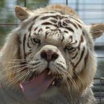 Travisruff - @travis_ruff_27 - Instagram
