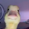Travis Sampson - @travis_sampson - TikTok