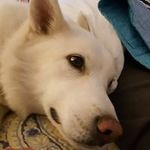 Travis Sands - @gawdy311 - Instagram