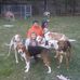 Travis Schall - Facebook